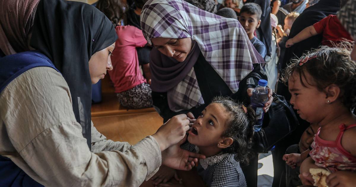 Em Gaza, “depois de tanto trauma, as crianças estão a regressar a casas que já não existem e esperam encontrar familiares que não encontram”