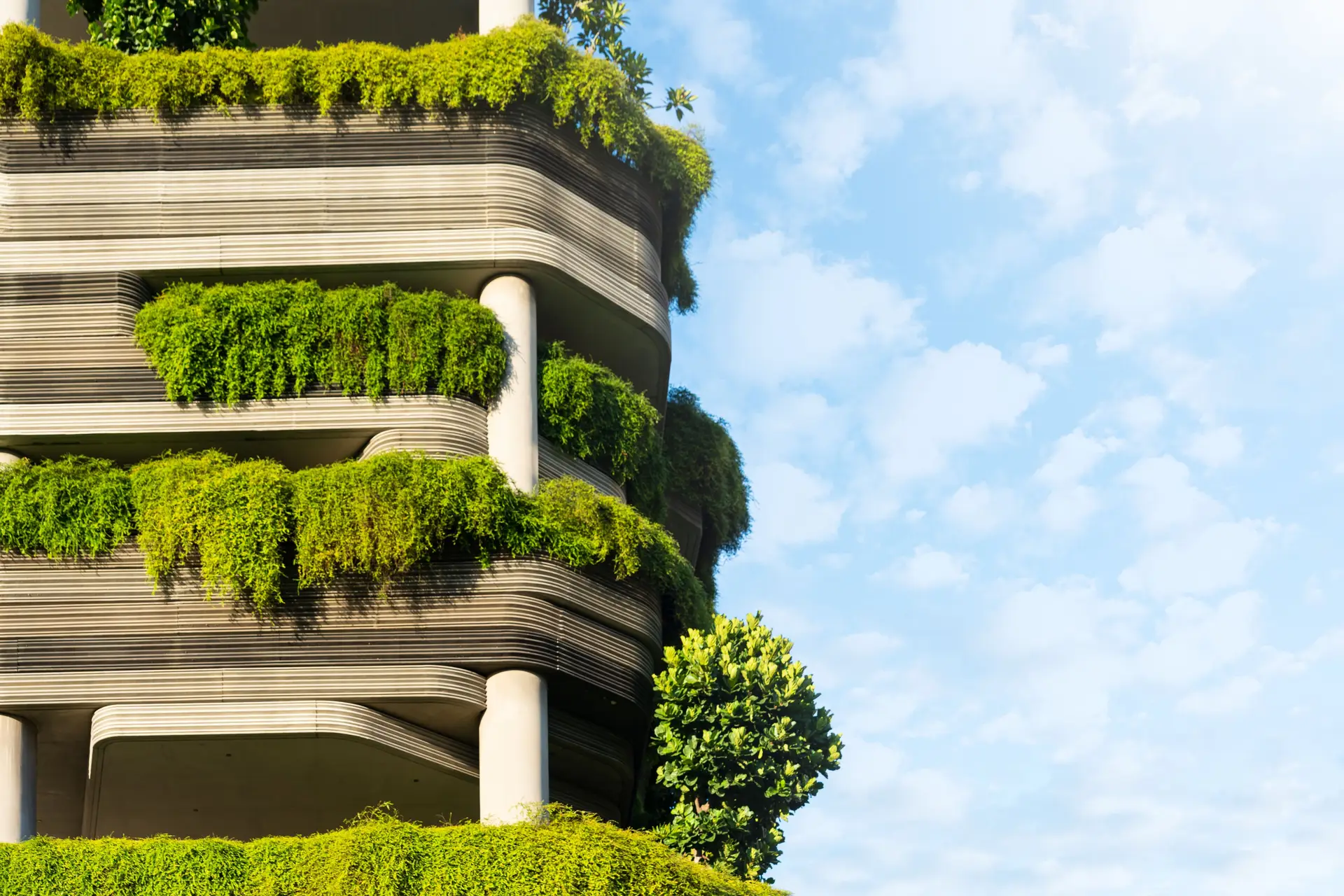 Fundo Ambiental paga apoios para janelas e painéis solares a 3200 famílias, mas mais de 70 mil continuam à espera do reembolso