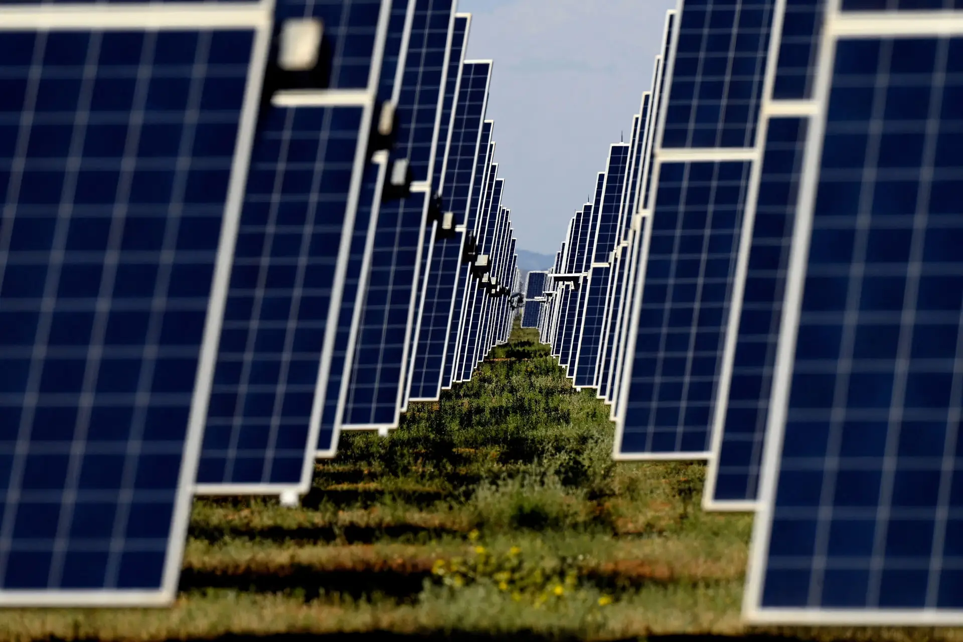 Energia. Eurowind compra 11 projetos solares