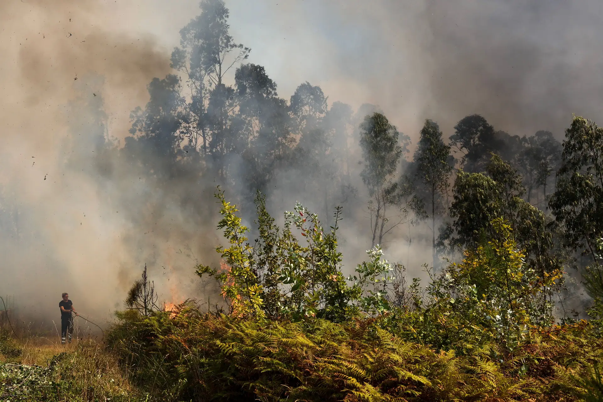 Perigo meteorológico “excecional” potencia incêndios de elevada destruição: não havia um dia assim desde 2001