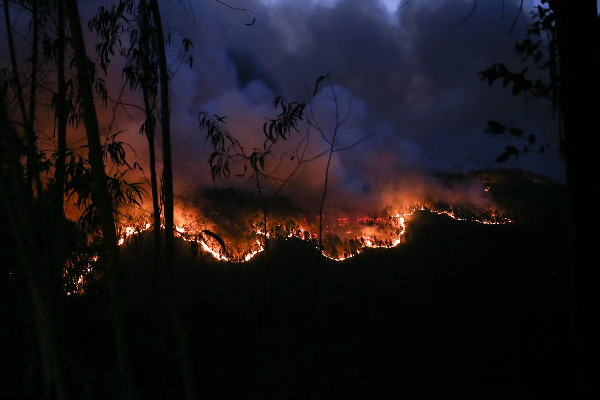 Em dois dias arderam 30 mil hectares, quase o dobro do que no resto do ano