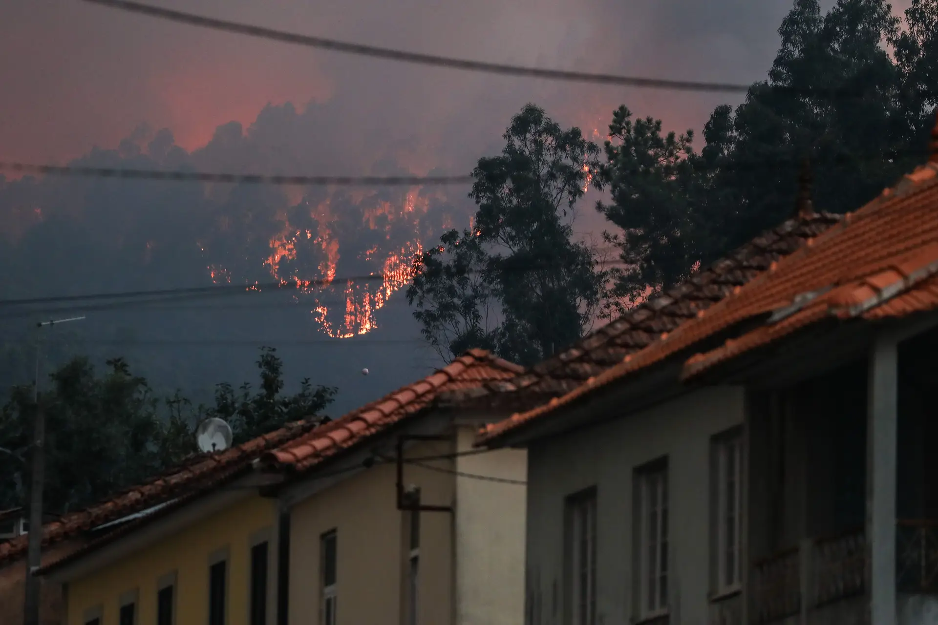 Conluios de madeireiros, interesses de empresas que vendem material para apagar fogos e pirómanos noturnos: os mitos à volta dos incêndios