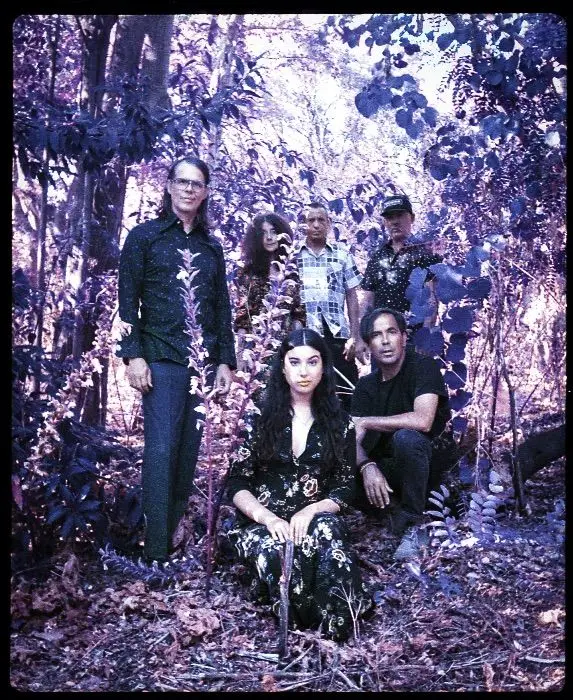 Música. A beleza solitária dos Beautify Junkyards