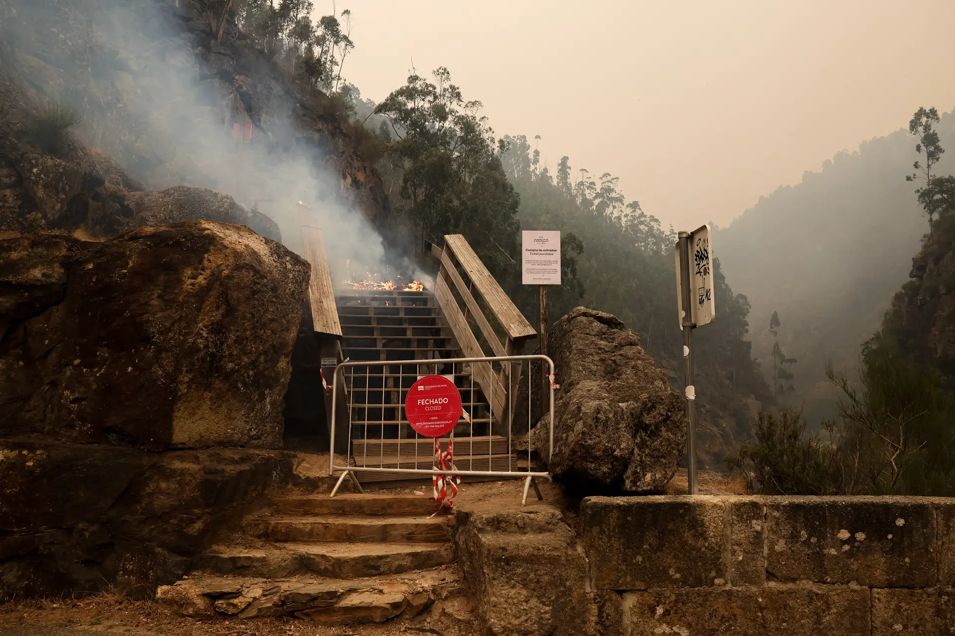 Incêndios: Arouca contabiliza pelo menos 5,3 milhões de euros em prejuízos e 350 mil são nos passadiços