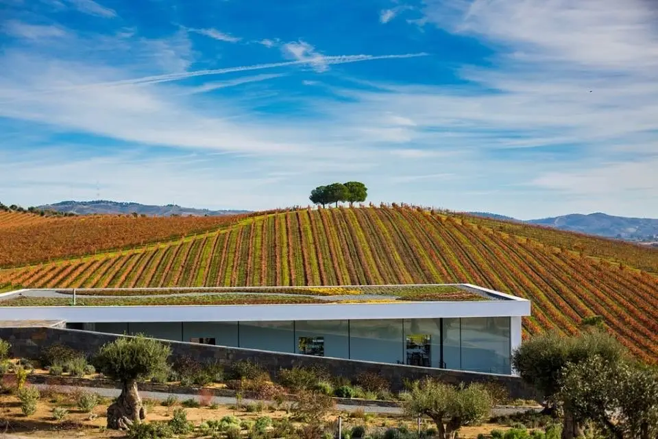 Quinta do Quetzal, em Vidigueira