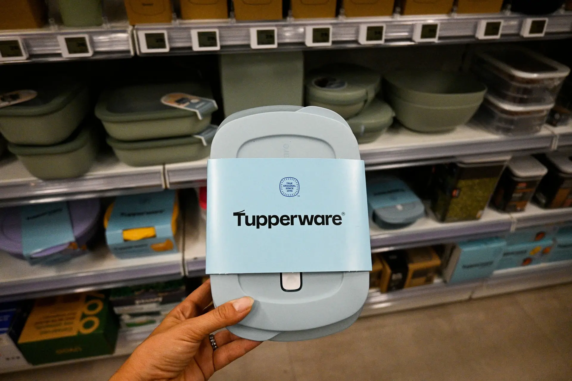 Dona da Tupperware em Portugal foi declarada insolvente