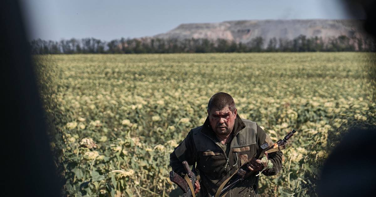 "Uma árvore! Maravilhoso! Uma flor! Maravilhoso! Um morto! Maravilhoso!" A fotografia de guerra e a luta contra a banalização do mal