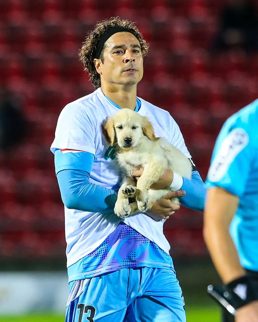 Cães à espera de adoção entram em campo antes dos jogos da I Liga de futebol