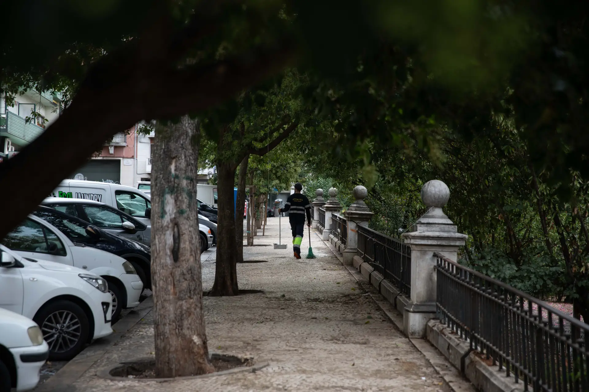 Lisboa: sem-abrigo retirados do Jardim da Igreja dos Anjos e hospedados em hostels por tempo indeterminado. Câmara assume as despesas