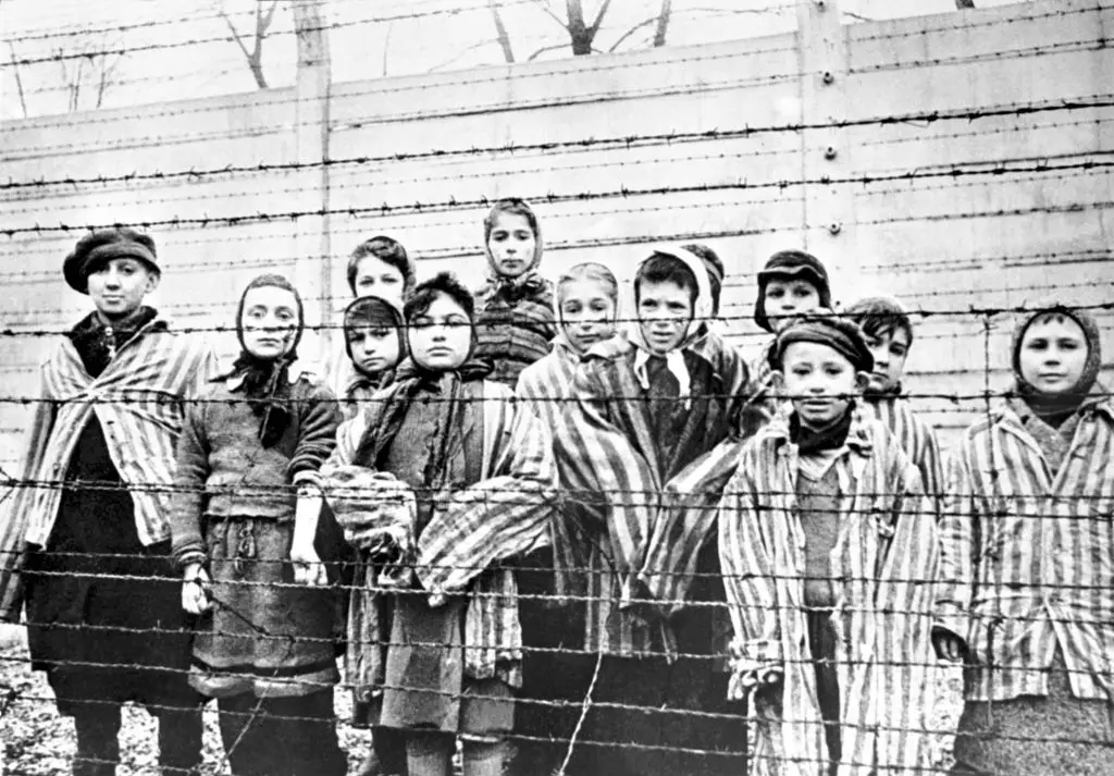 Os horrores do Holocausto — A descoberta dos campos de concentração, como o de Auschwitz-Birkenau, na Polónia, e do projeto de extermínio do povo judeu chocou o mundo e condicionou para todo o sempre a postura dos países europeus relativamente à questão da Palestina