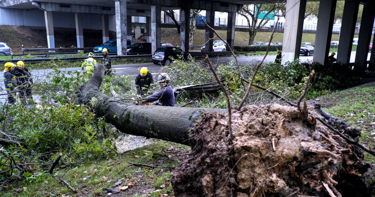 Tempestade Kirk: mais de 300 mil clientes sem energia, especialmente no Norte