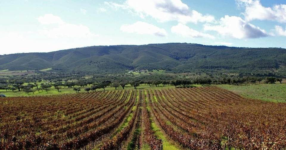 Serra d’Ossa: tudo o que já sabemos sobre a Cidade do Vinho 2025