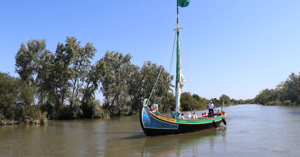 Com o Tejo na paisagem, descobre-se o "Terras Torricadas" nos restaurantes da Azambuja