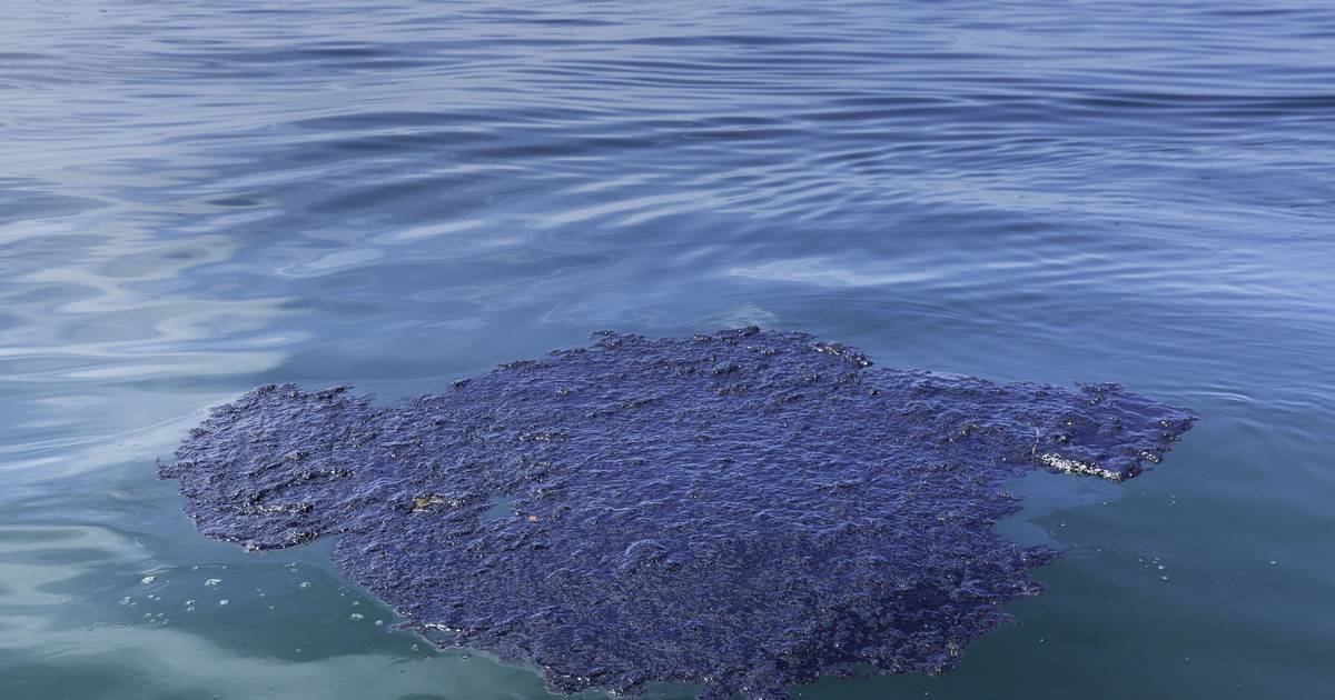 Duas praias do Algarve fechadas à natação devido a derrame de petróleo