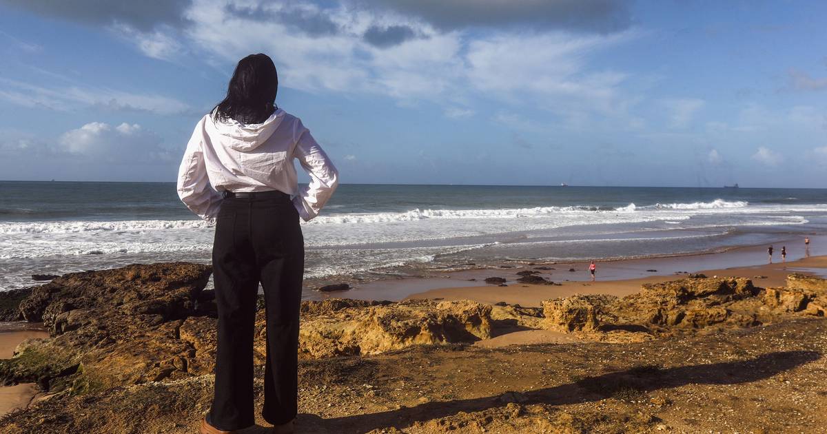 International investigation involving Expresso wins Voices journalism award