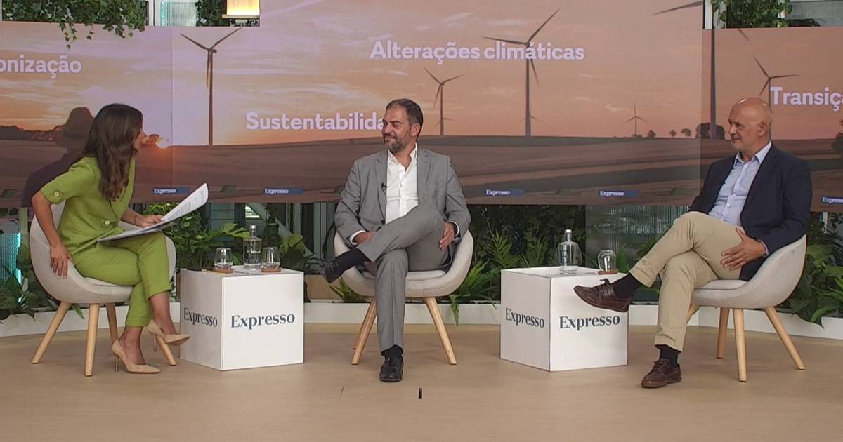 Emissões da agricultura podem ser “matéria-prima para produção de energia”