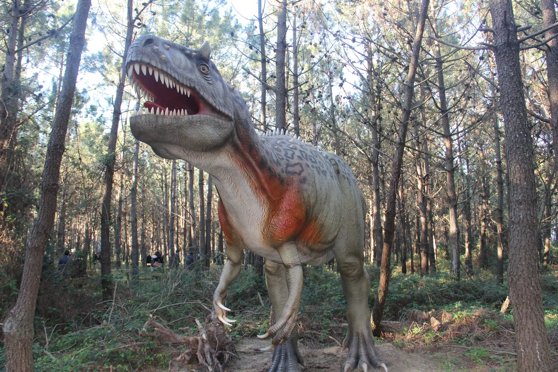 Dino Parque da Lourinhã