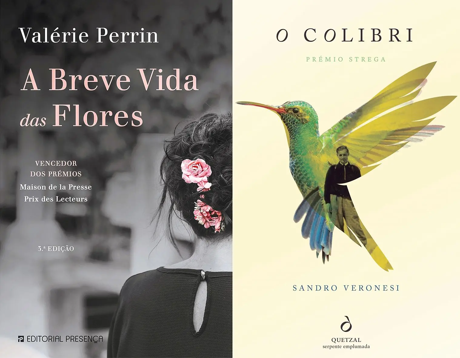 Leituras com flores e colibri
