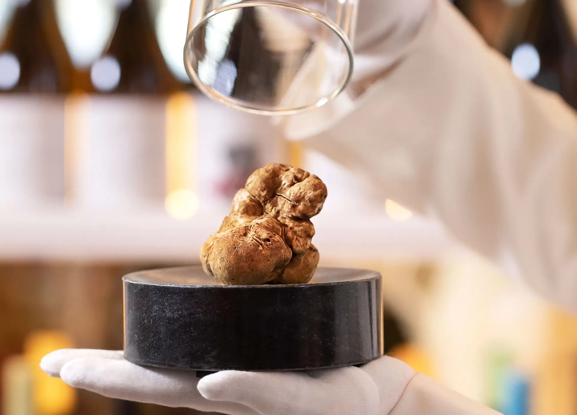 Trufa branca de Alba, no restaurante Rocco, em Lisboa