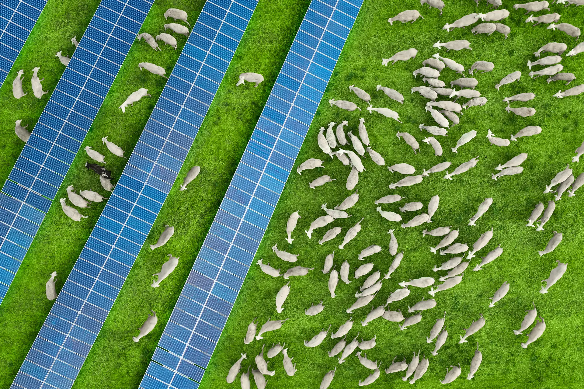 Agricultura: os desafios estão aí e é preciso inovar