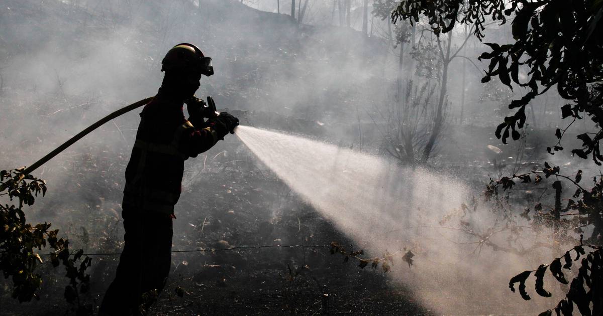 Governo prepara mudanças na Proteção Civil: bombeiros estão preocupados, Agência para a Gestão dos Fogos fala em retrocesso