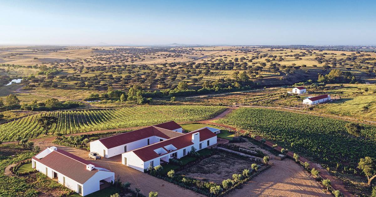 Beja recebe cimeira mundial do enoturismo com operadores de 17 países