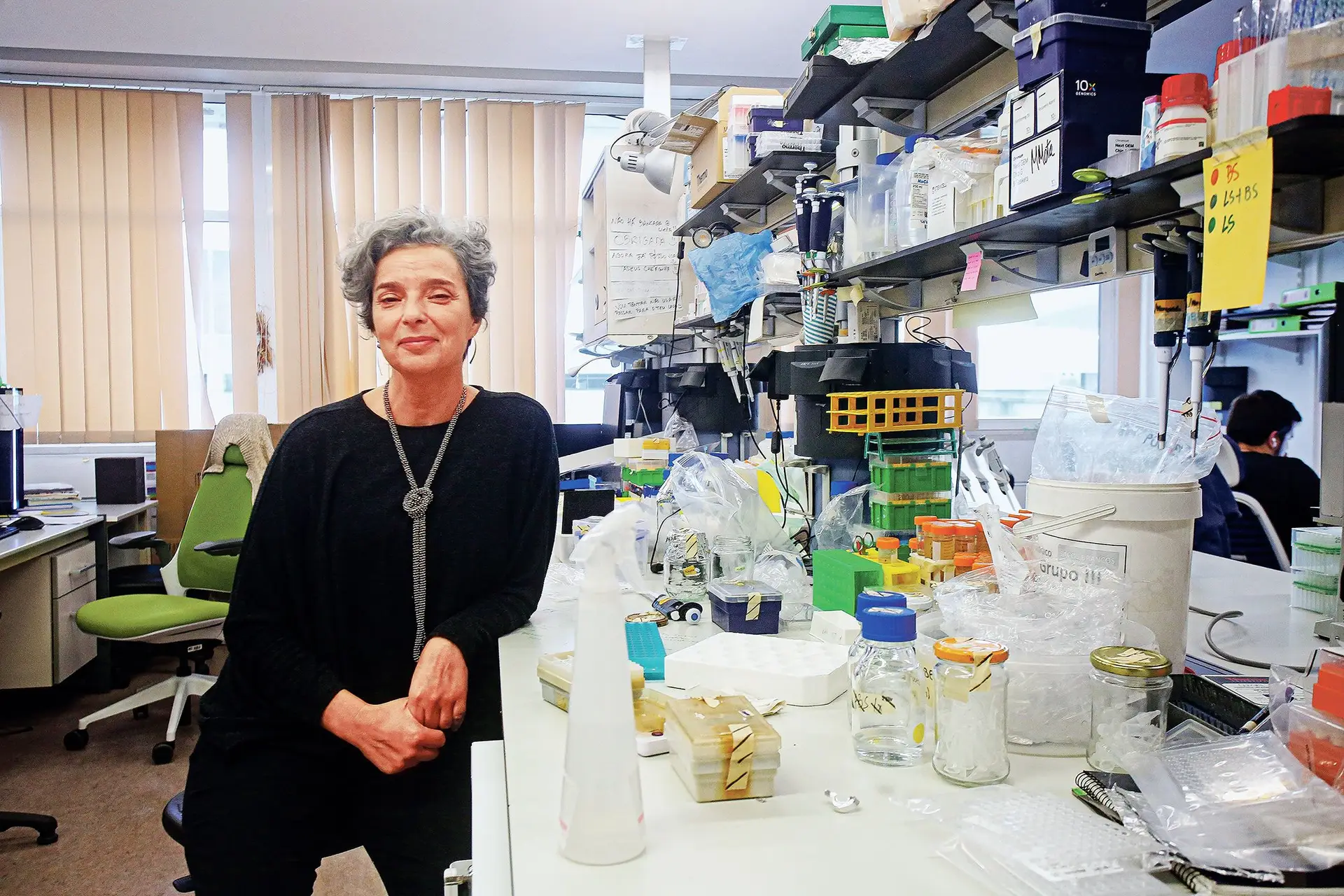 Maria Manuel Mota vai liderar uma equipa de 600 cientistas de 40 nacionalidades