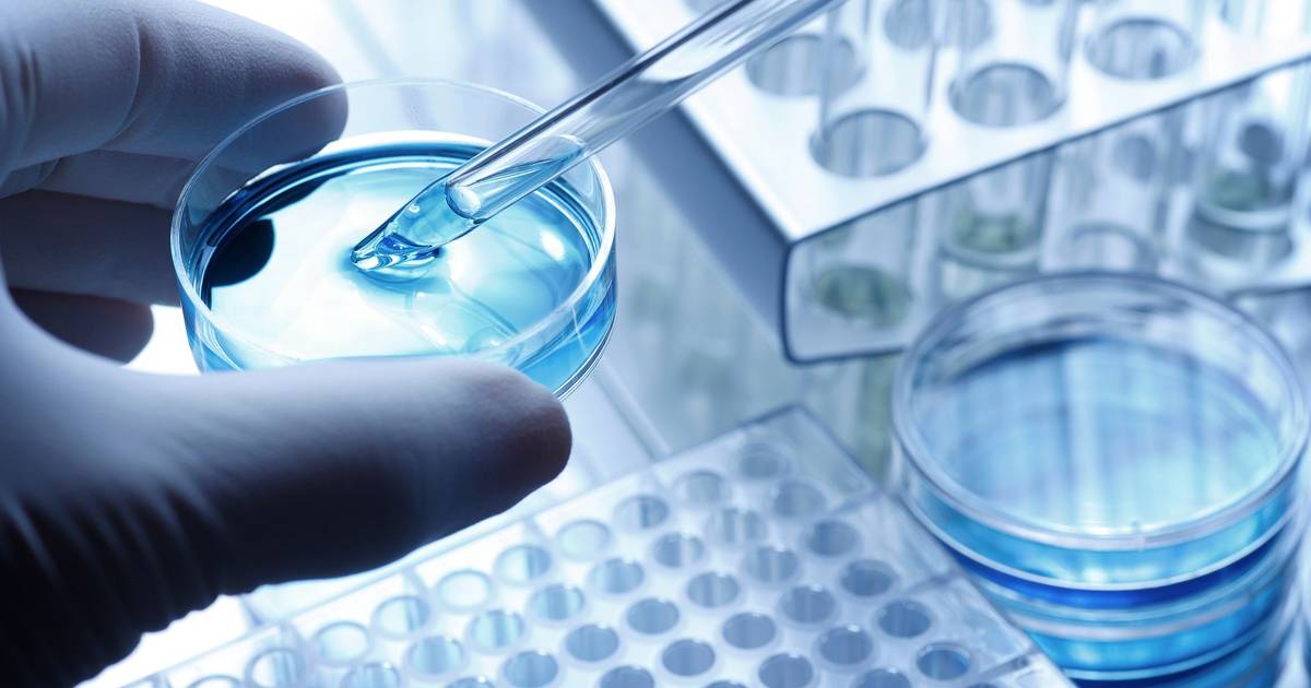 Farewell to indirect SIFIDE? Parliament votes to end a tax benefit that still has a billion euros to allocate