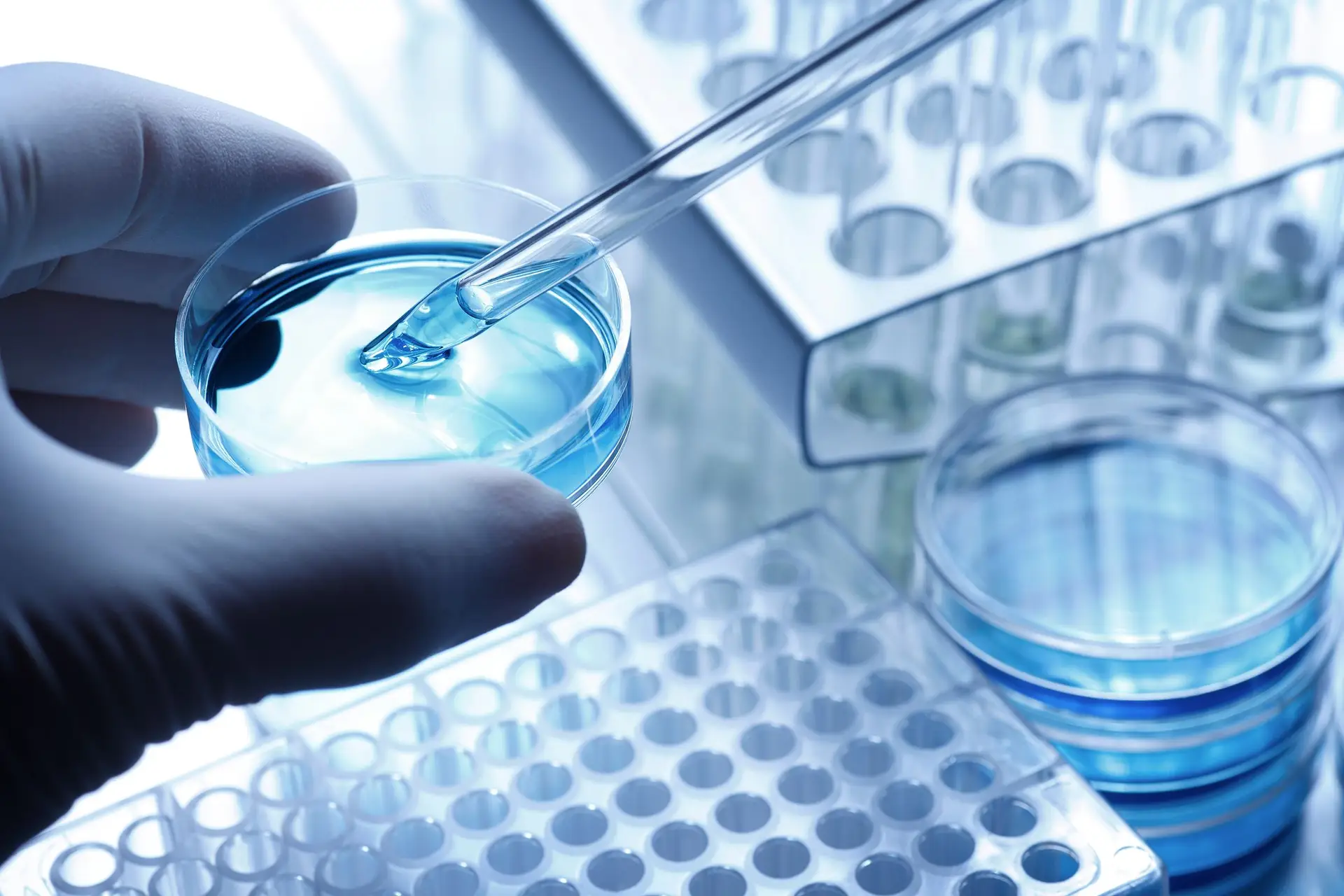 Biotecnologia está identificada como área estratégica de inovação