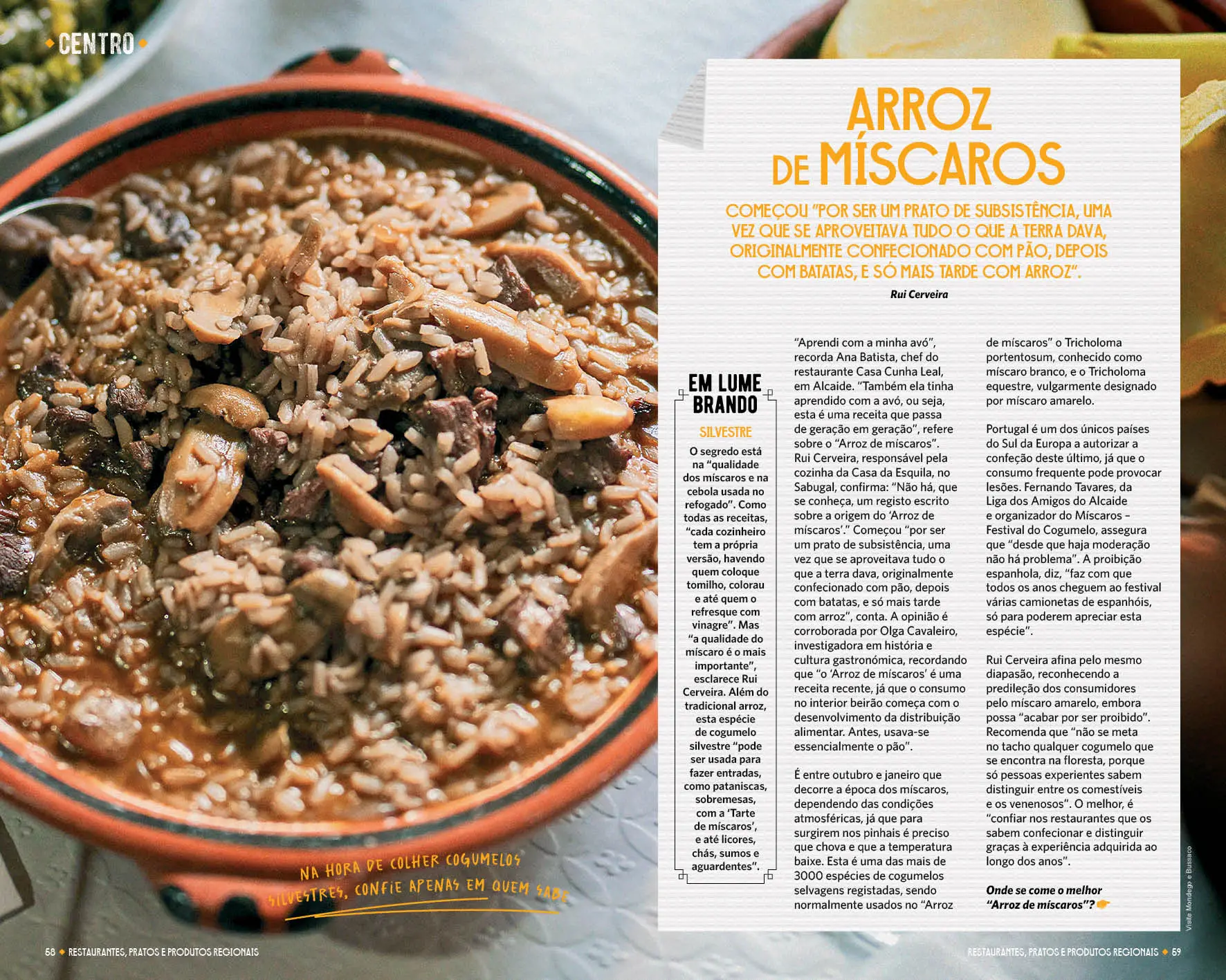 “Restaurantes, Pratos e Produtos Regionais”: descubra truques, histórias e segredos de 50 receitas populares