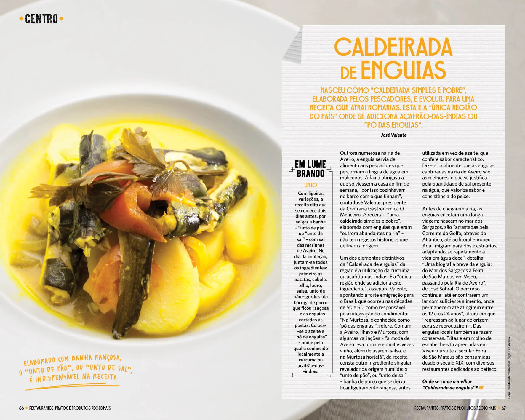 “Restaurantes, Pratos e Produtos Regionais”: descubra truques, histórias e segredos de 50 receitas populares