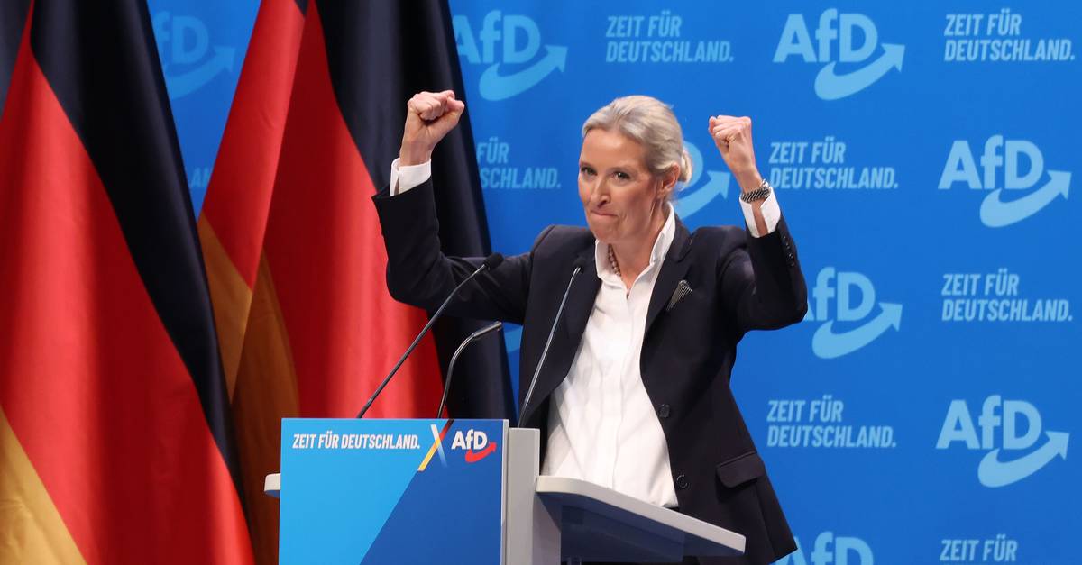 Alice Weidel: líder da extrema-direita alemã é “um lobo em pele de cordeiro” e “uma vantagem para a AfD”