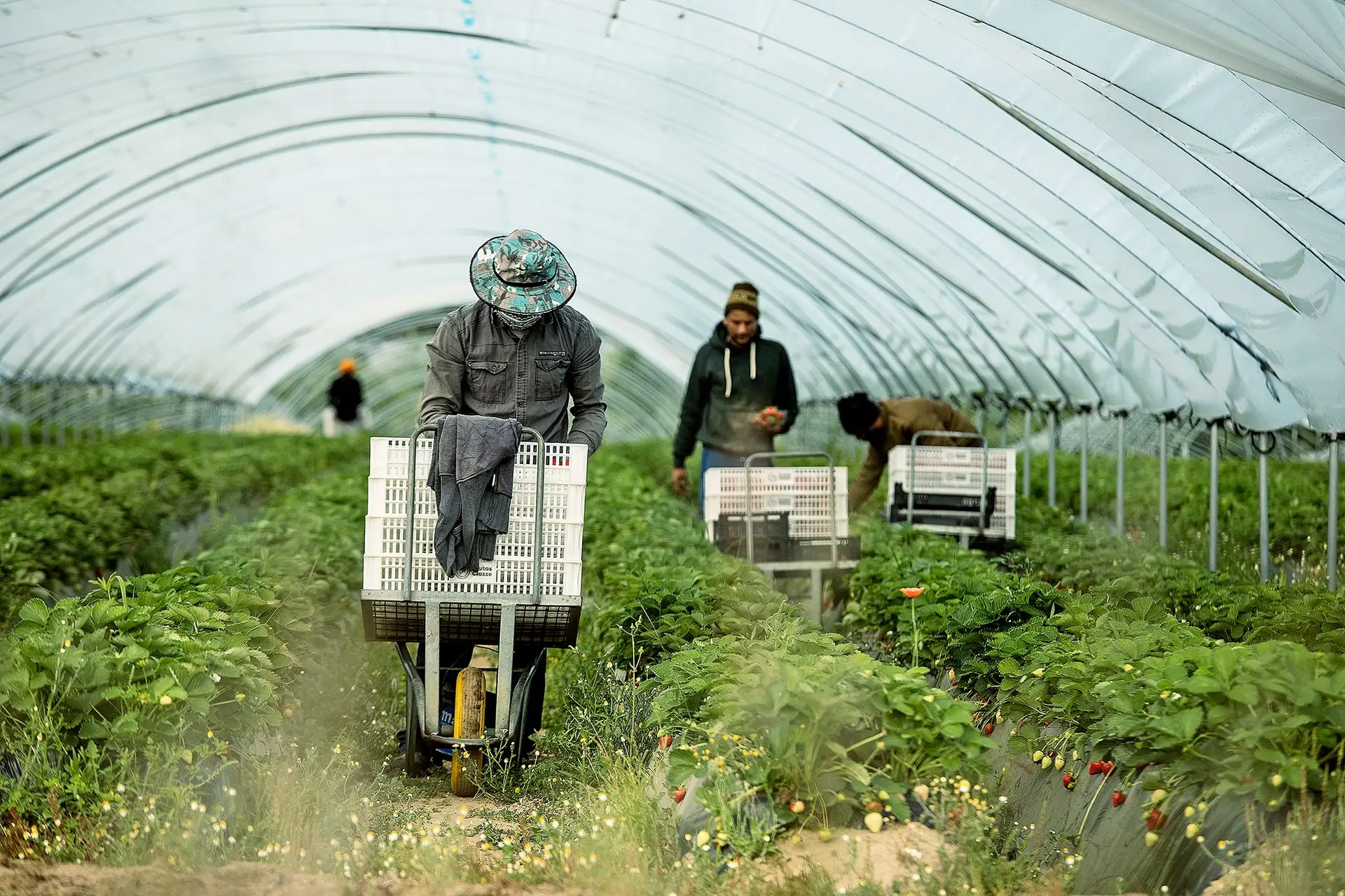 Imigrantes residentes em Portugal ultrapassam 1,5 milhões
