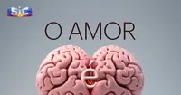 O Amor é a Razão