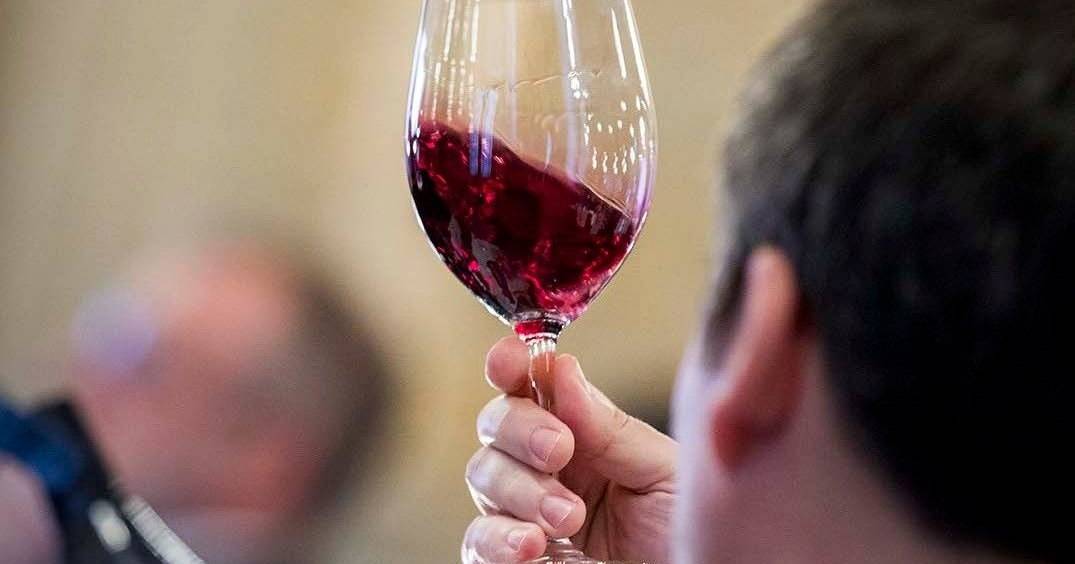 Top 10 Vinhos Portugueses: conheça a lista dos melhores tintos, brancos, rosés e fortificados de 2024