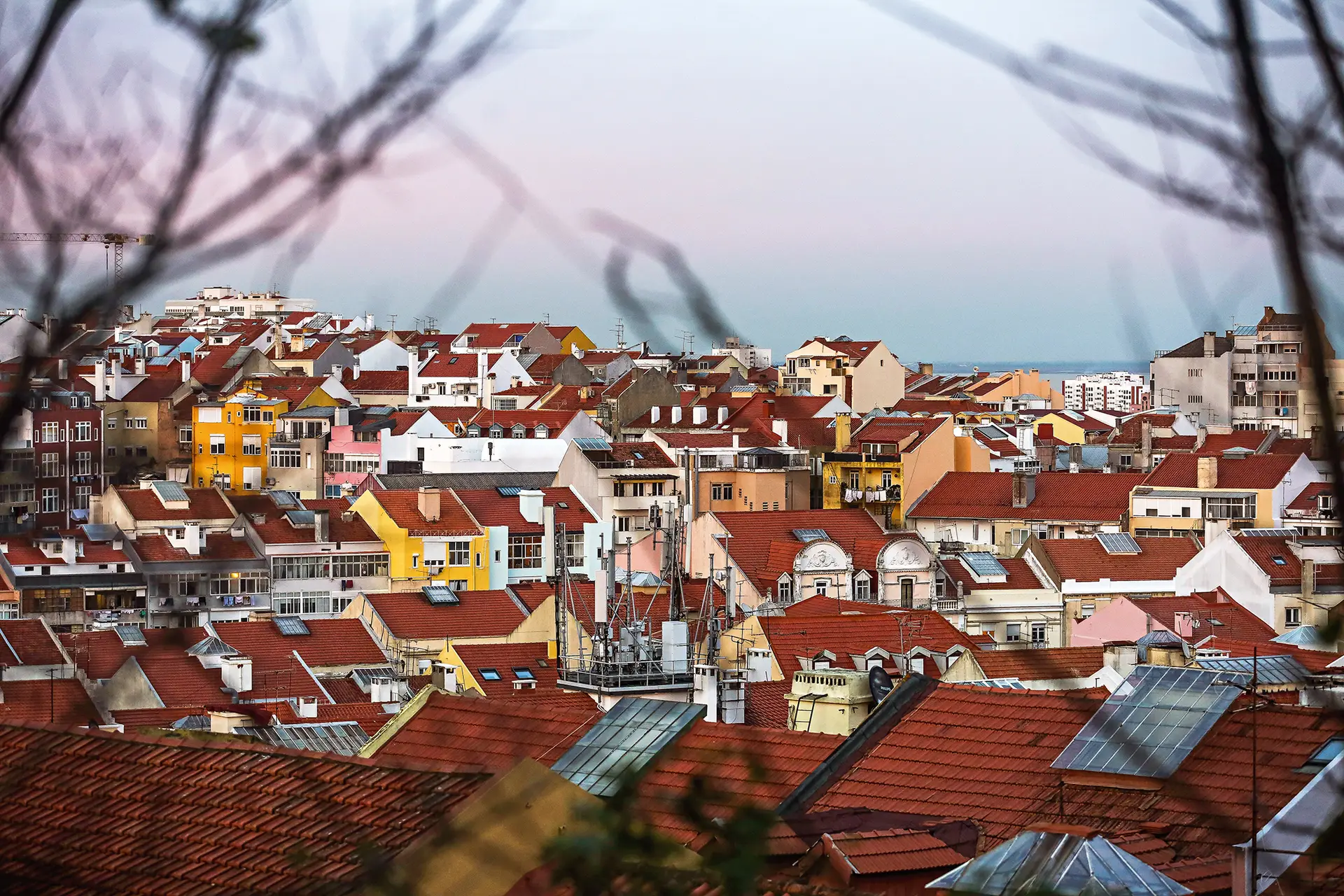 Lisboa lidera nas verbas do programa 1º Direito