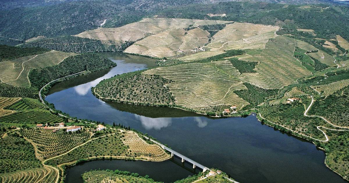 A operação de charme que mudou a vida dos vinhos do Porto