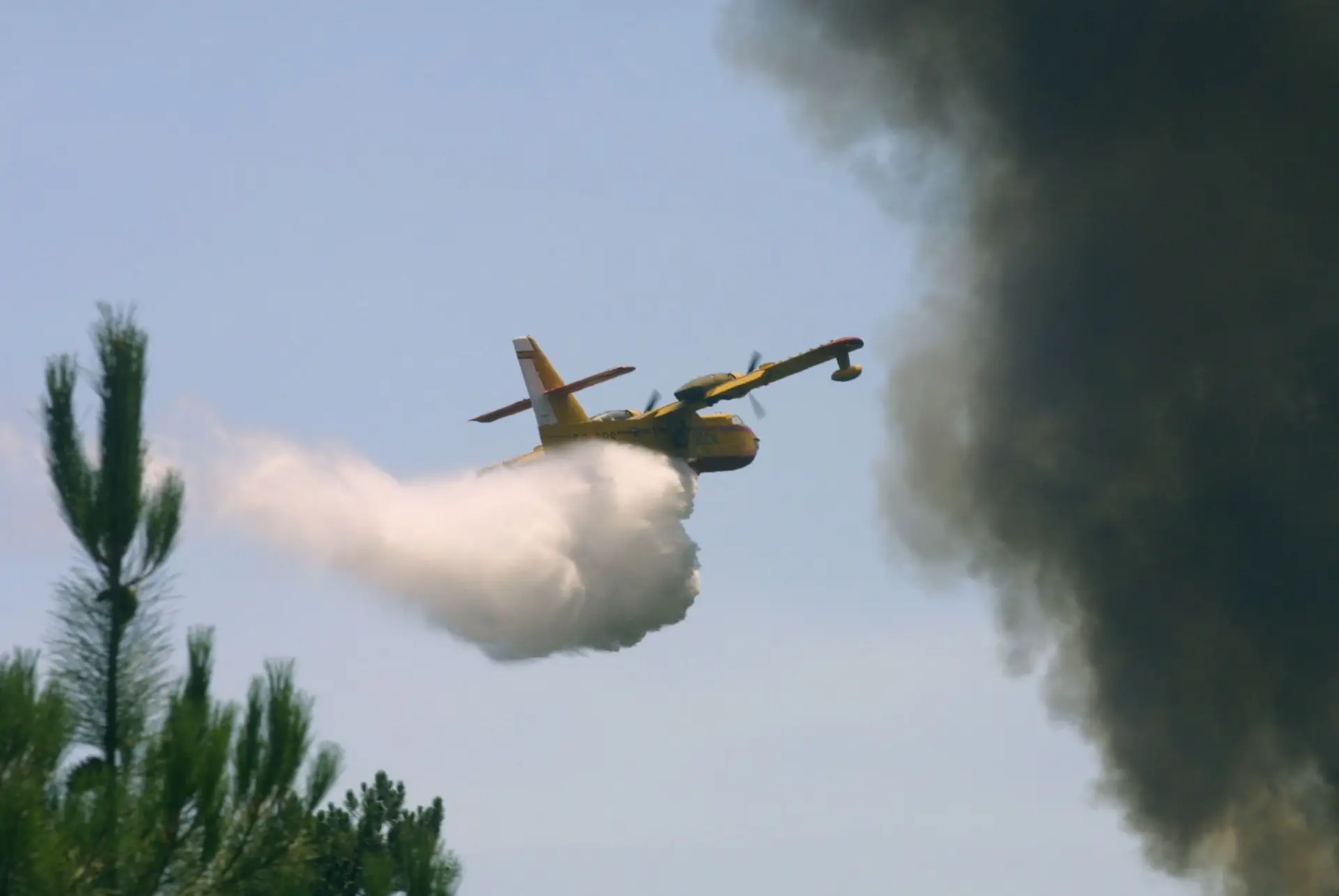 Mais de 180 operacionais e nove meios aéreos combatem fogo em Castelo Branco