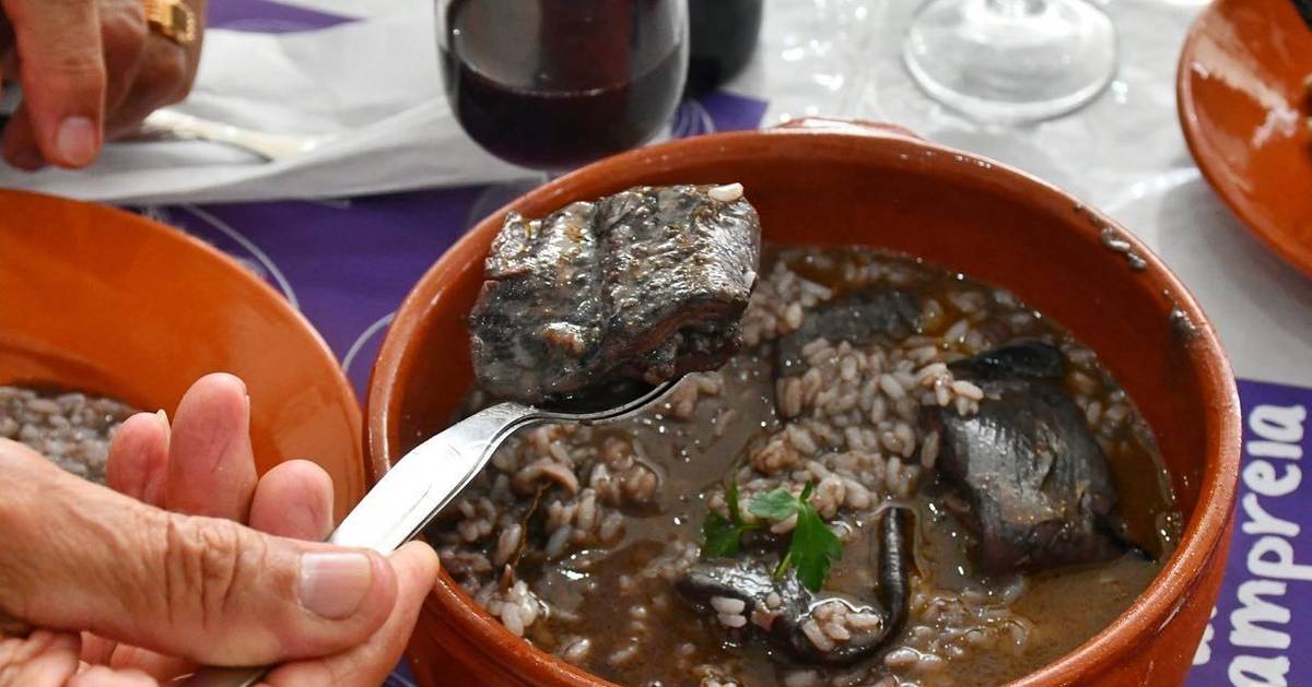 "Um bem escasso": Festival gastronómico em Montemor-o-Velho apela à partilha de lampreia