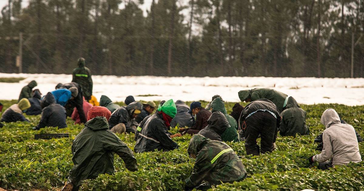 Patrões temem impasse na ‘via verde’ para a imigração