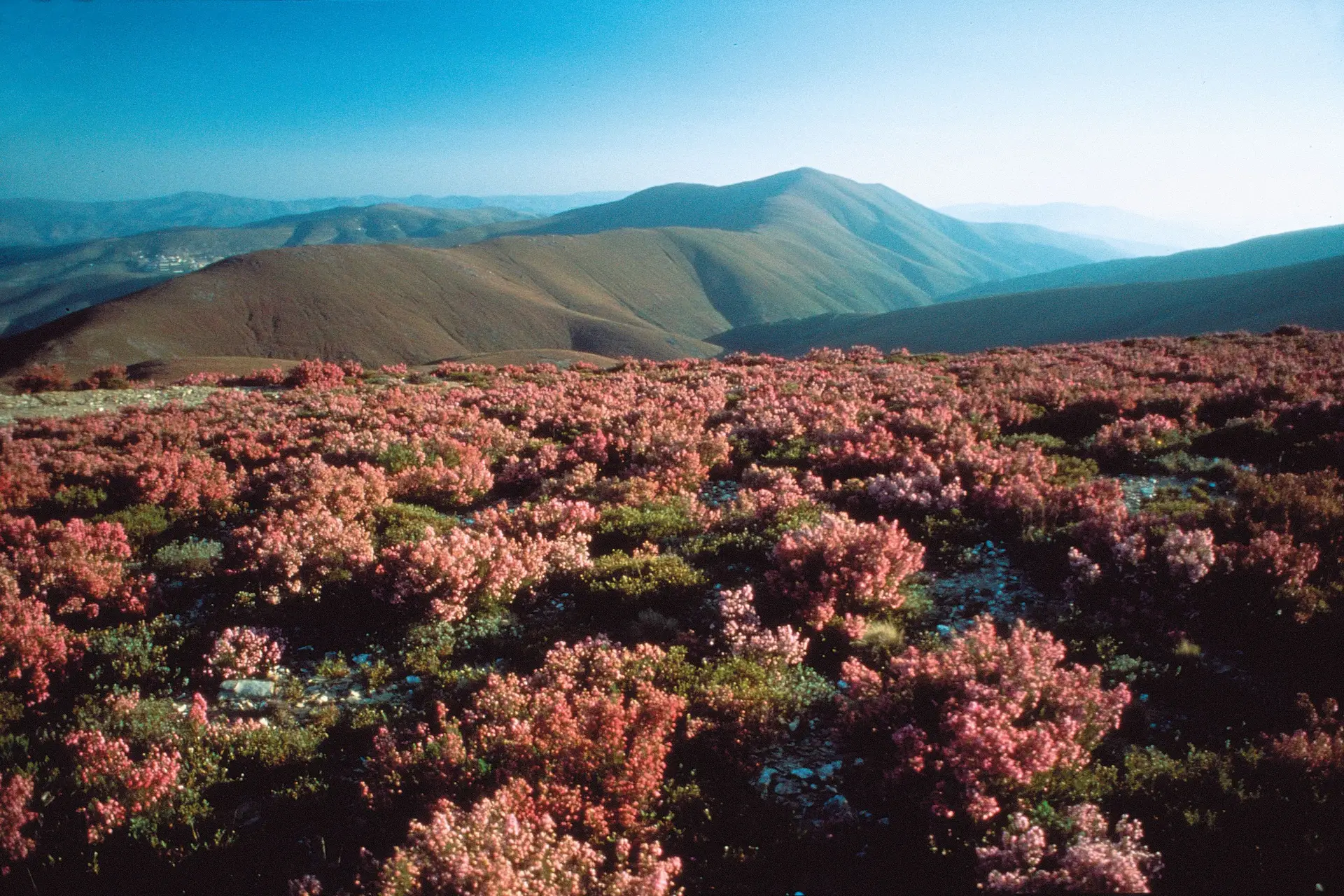 Serra do Açor