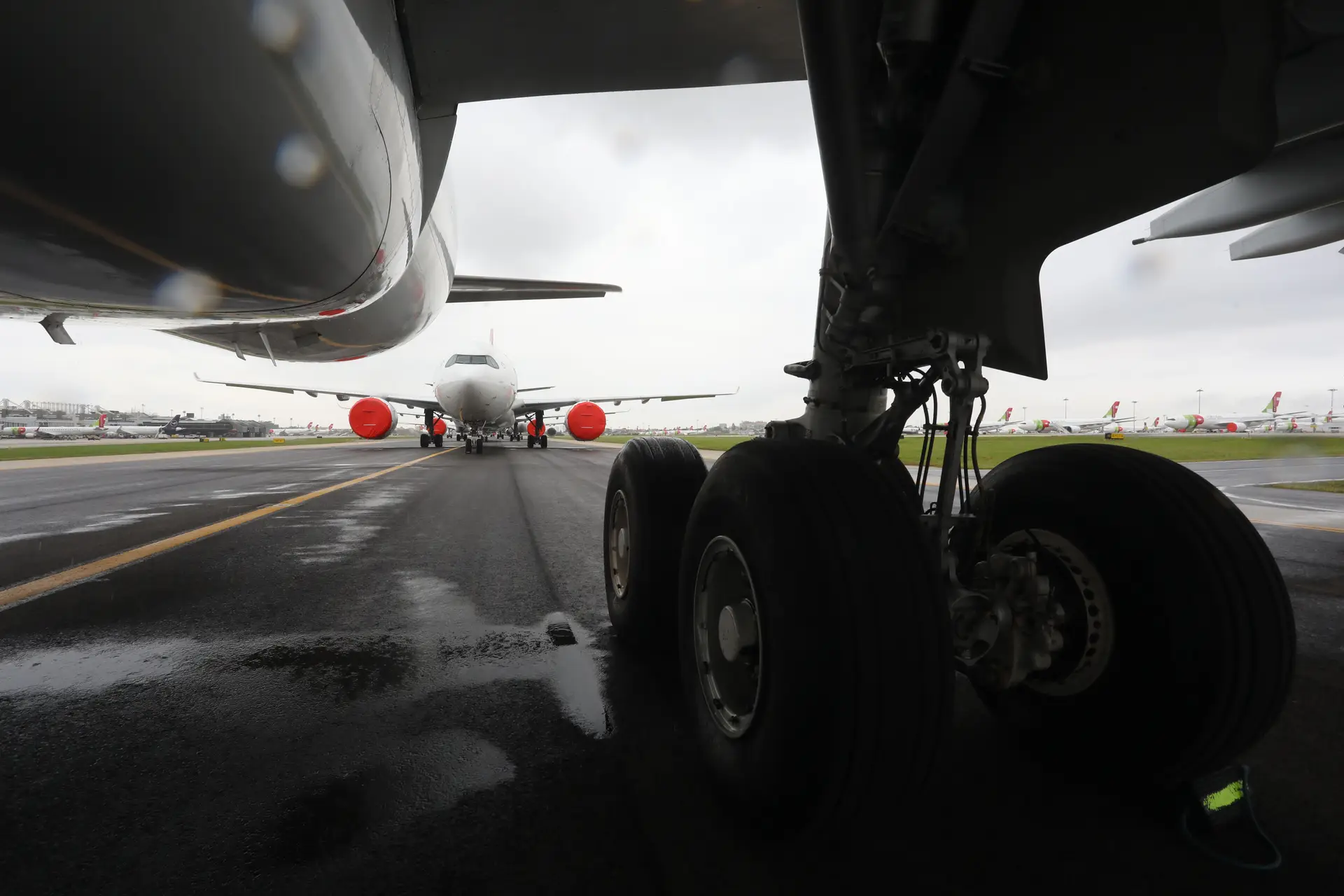 Aviação: Governo acelera na TAP e no aeroporto