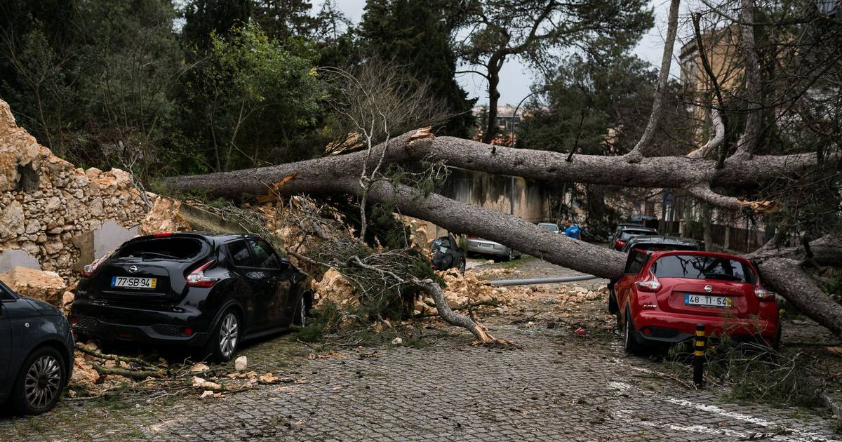 A tempestade Martinho arrancou árvores do chão, partiu vidros e deixou um rasto de destruição [veja o vídeo]