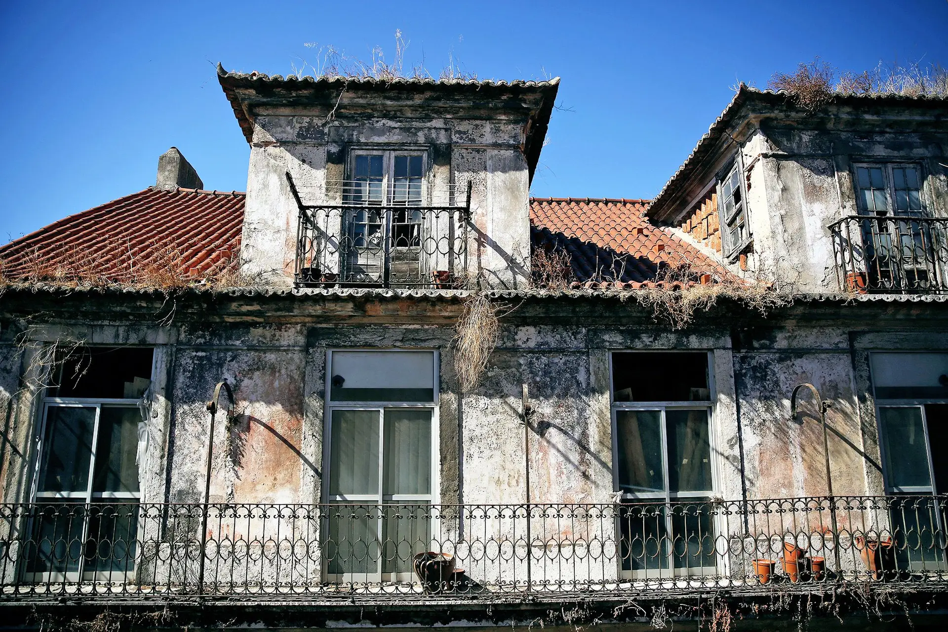 Os números de ocupações ilegais pecam por defeito, dizem investigadores