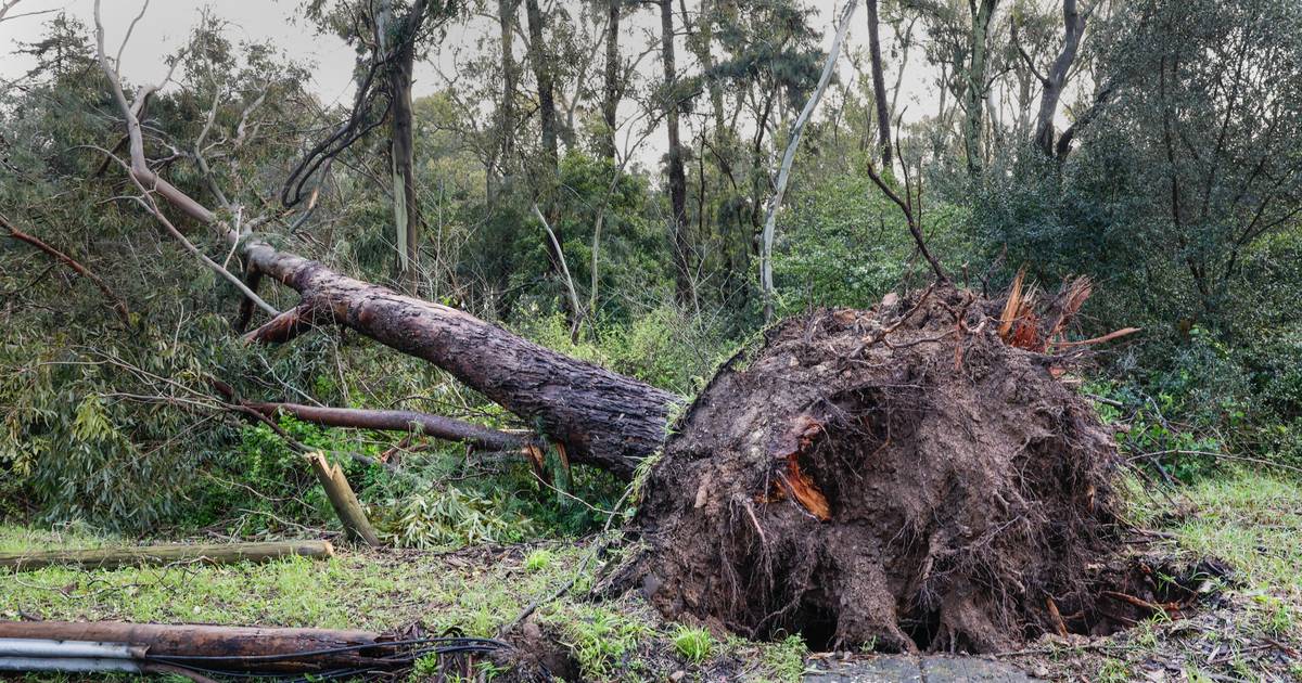 Bad weather causes 81 incidents overnight, with the North and Centre most affected