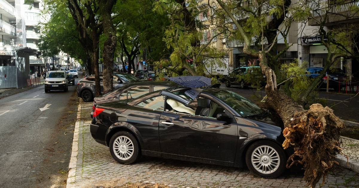 Árvores caídas, carros destruídos, vidros partidos, milhares de ocorrências: veja aqui as imagens do rasto deixado pela tempestade Martinho