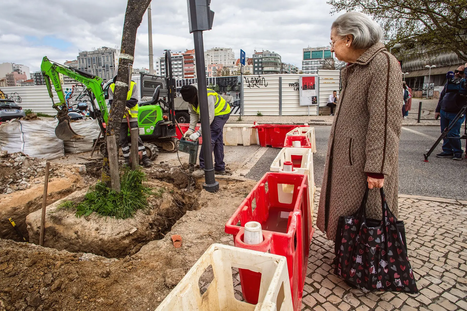 Três jacarandás arrancados em Lisboa