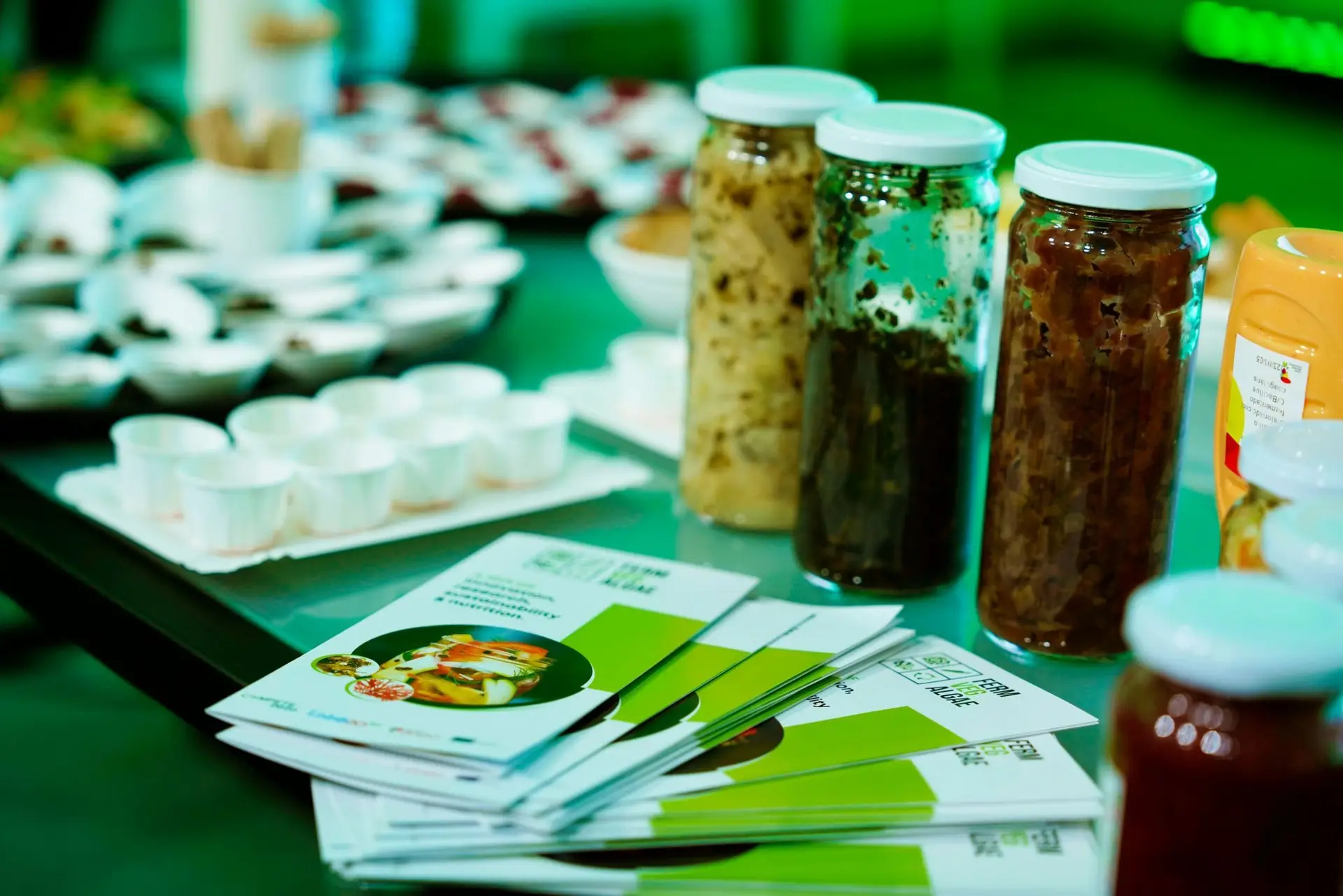 Alimentos desenvolvidos pelo projeto FermentedVegAlgae