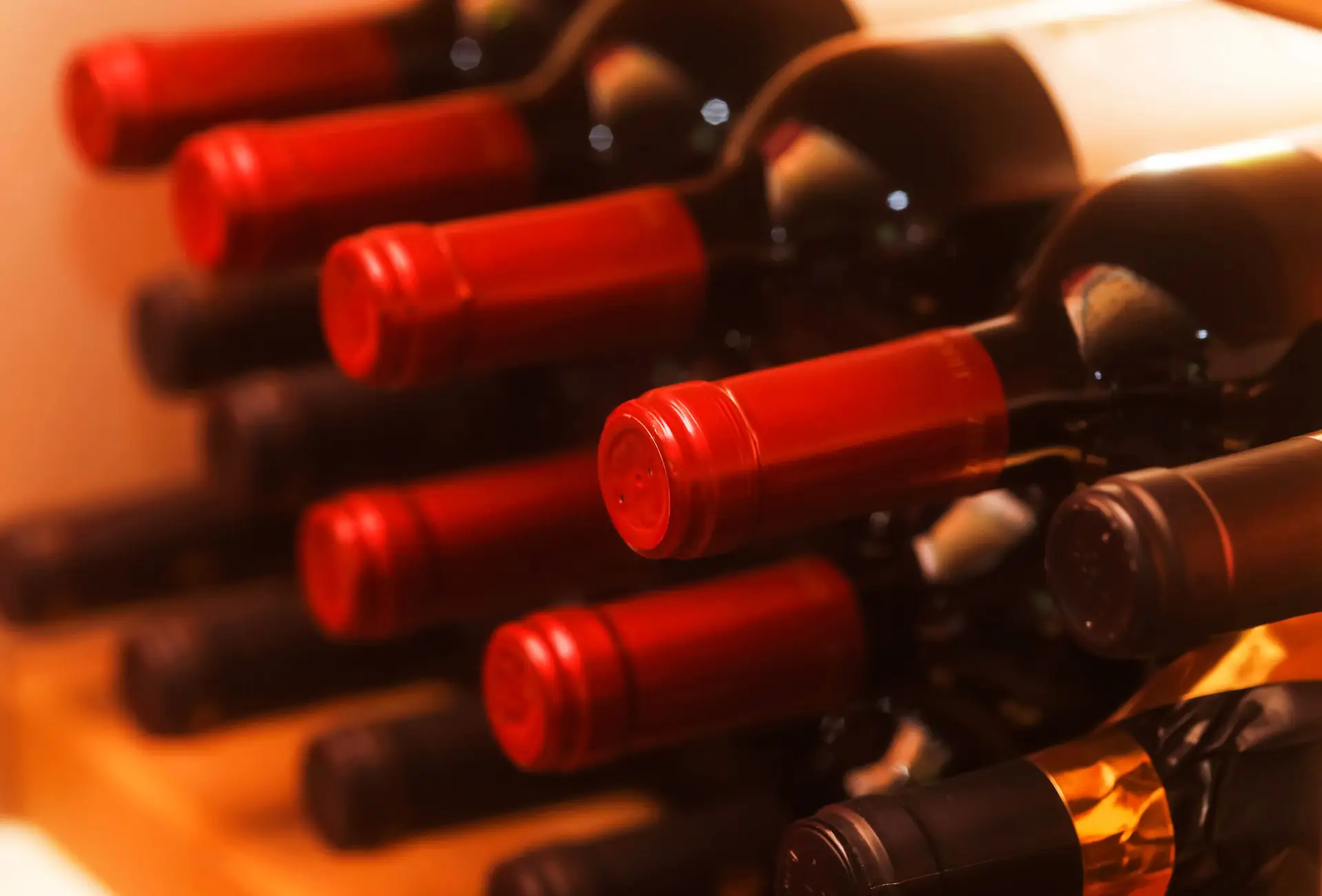 Vinhos: o encanto de um Marquês conservador
