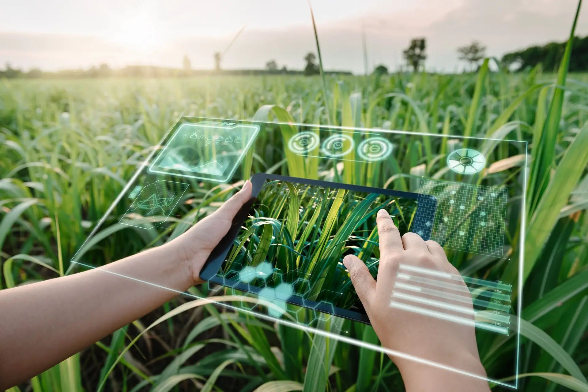 Candidatos: Prémio Inovação Agrícola está de regresso com €10 mil